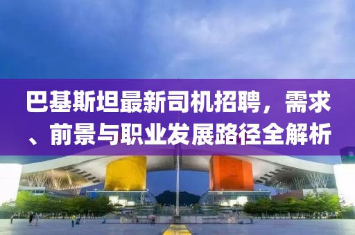 巴基斯坦最新司机招聘，需求、前景与职业发展路径全解析