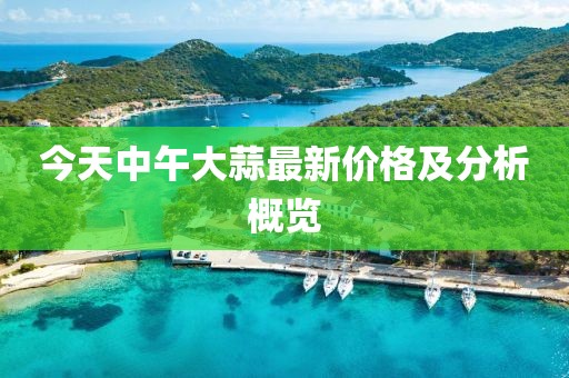 今天中午大蒜最新价格及分析概览