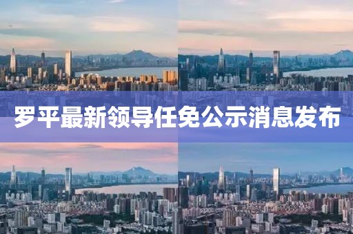 罗平最新领导任免公示消息发布