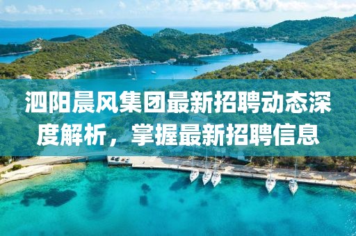 泗阳晨风集团最新招聘动态深度解析，掌握最新招聘信息