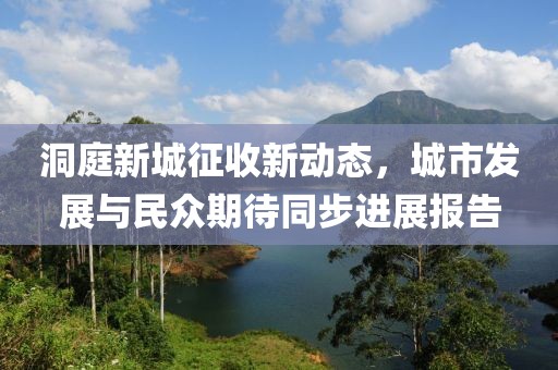 洞庭新城征收新动态，城市发展与民众期待同步进展报告