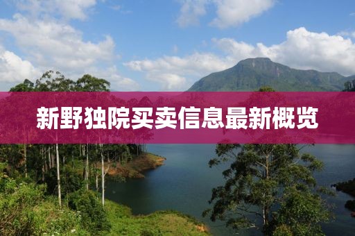 新野独院买卖信息最新概览