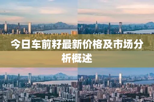 今日车前籽最新价格及市场分析概述