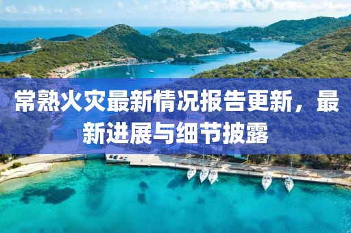 雾野山 第36页