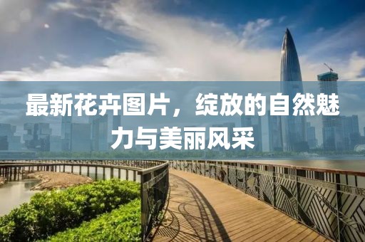 最新花卉图片，绽放的自然魅力与美丽风采