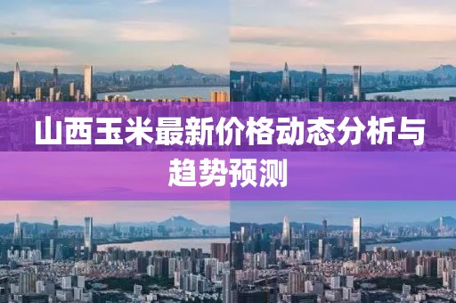 山西玉米最新价格动态分析与趋势预测