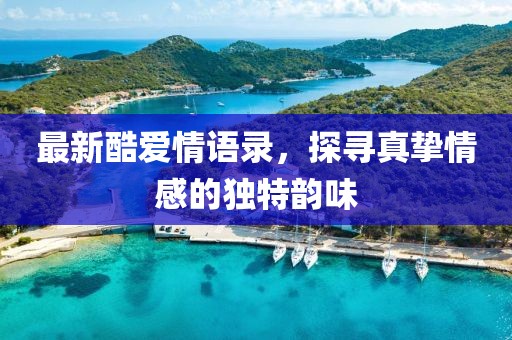 最新酷爱情语录，探寻真挚情感的独特韵味