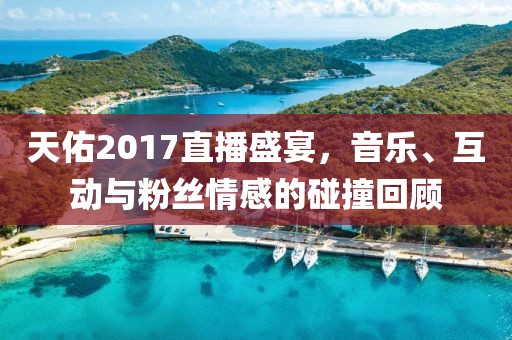 天佑2017直播盛宴，音乐、互动与粉丝情感的碰撞回顾
