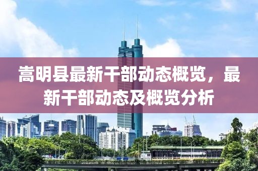 嵩明县最新干部动态概览，最新干部动态及概览分析