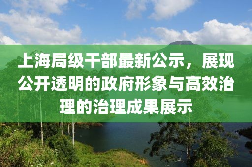 上海局级干部最新公示，展现公开透明的政府形象与高效治理的治理成果展示