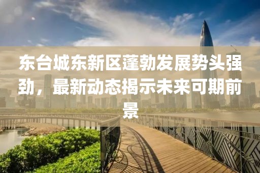 东台城东新区蓬勃发展势头强劲，最新动态揭示未来可期前景