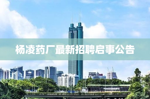 梳白发 第5页