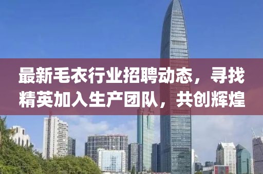 最新毛衣行业招聘动态，寻找精英加入生产团队，共创辉煌