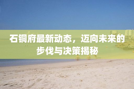 风萧龙 第6页