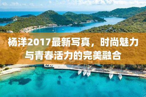 杨洋2017最新写真，时尚魅力与青春活力的完美融合