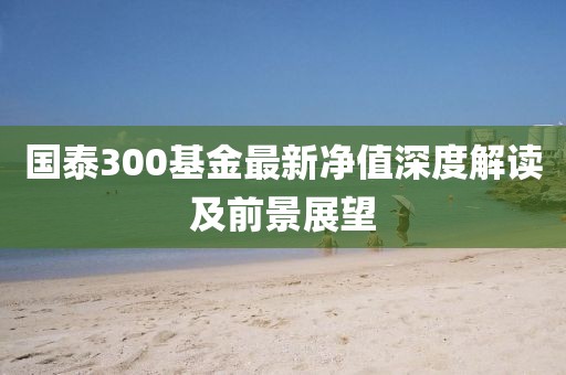 国泰300基金最新净值深度解读及前景展望