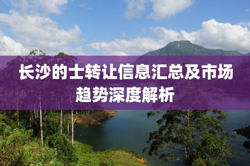 长沙的士转让信息汇总及市场趋势深度解析