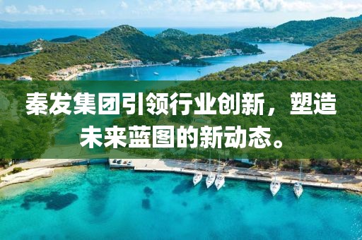 秦发集团引领行业创新，塑造未来蓝图的新动态。