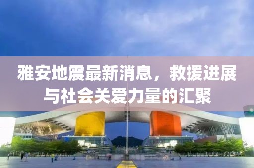 雅安地震最新消息，救援进展与社会关爱力量的汇聚