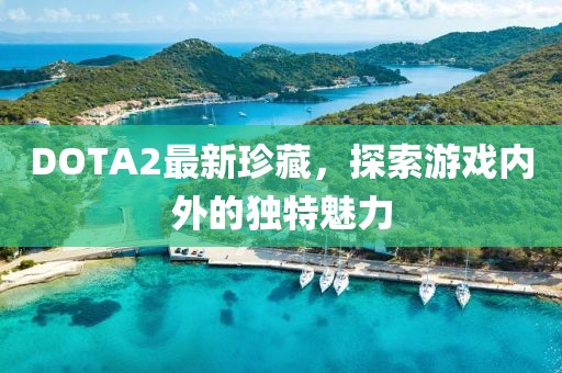DOTA2最新珍藏，探索游戏内外的独特魅力