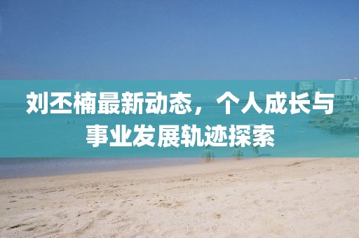 刘丕楠最新动态，个人成长与事业发展轨迹探索