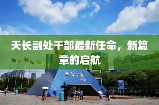 天长副处干部最新任命，新篇章的启航