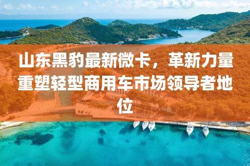 山东黑豹最新微卡，革新力量重塑轻型商用车市场领导者地位