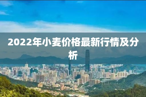 2022年小麦价格最新行情及分析