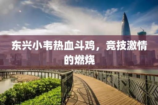 东兴小韦热血斗鸡，竞技激情的燃烧