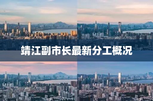 靖江副市长最新分工概况