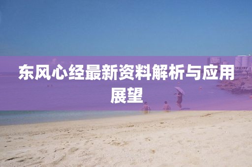 东风心经最新资料解析与应用展望