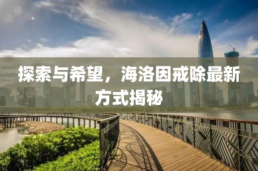 探索与希望，海洛因戒除最新方式揭秘