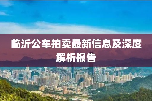 临沂公车拍卖最新信息及深度解析报告