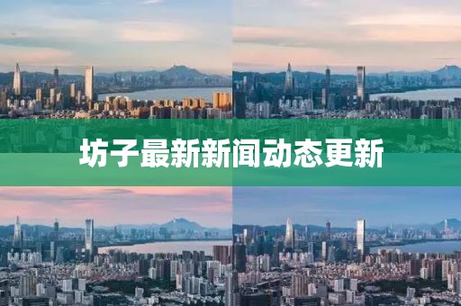 坊子最新新闻动态更新