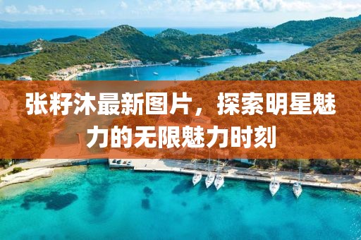 张籽沐最新图片，探索明星魅力的无限魅力时刻