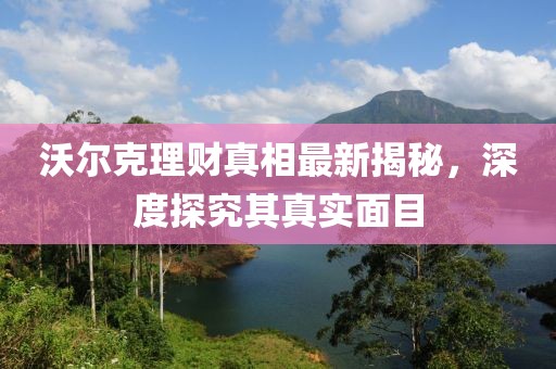 沃尔克理财真相最新揭秘，深度探究其真实面目
