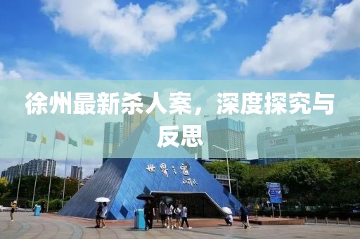 徐州最新杀人案，深度探究与反思