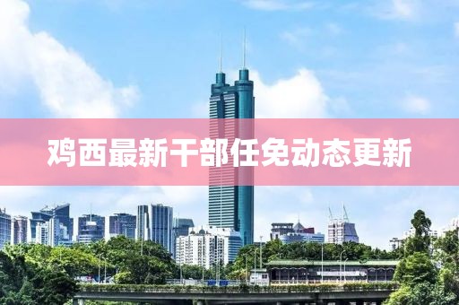 鸡西最新干部任免动态更新