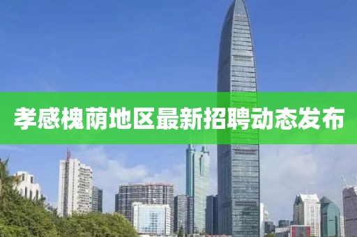 孝感槐荫地区最新招聘动态发布