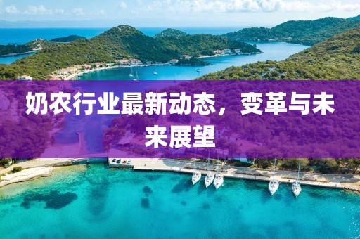 奶农行业最新动态，变革与未来展望