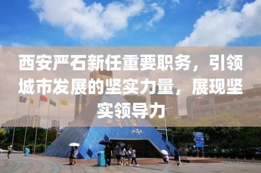 西安严石新任重要职务，引领城市发展的坚实力量，展现坚实领导力