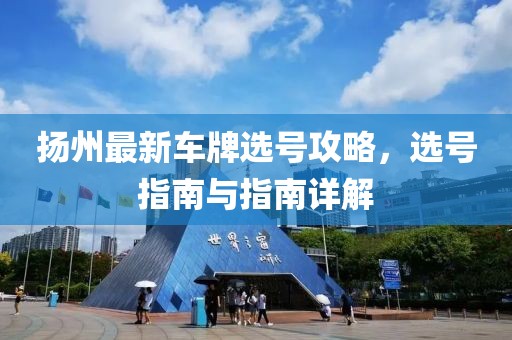 扬州最新车牌选号攻略，选号指南与指南详解