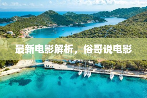 最新电影解析，俗哥说电影