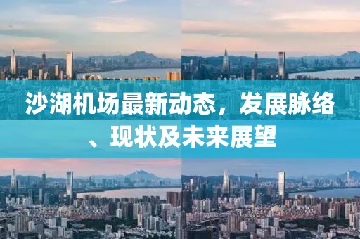 沙湖机场最新动态，发展脉络、现状及未来展望