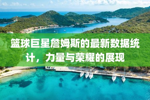 篮球巨星詹姆斯的最新数据统计，力量与荣耀的展现
