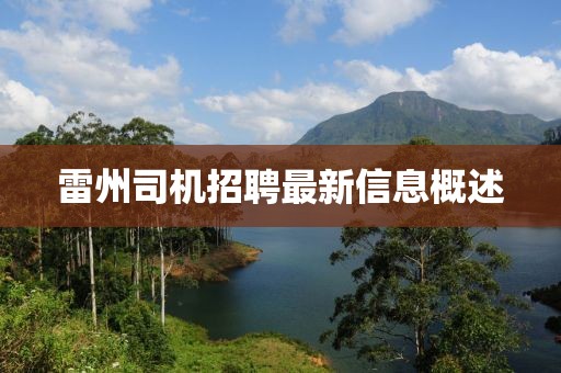 雷州司机招聘最新信息概述