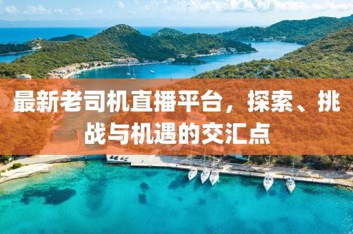 最新老司机直播平台，探索、挑战与机遇的交汇点