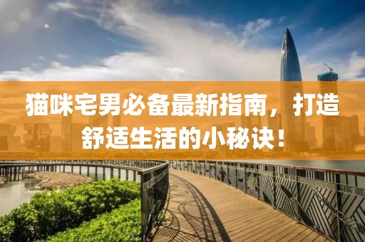 猫咪宅男必备最新指南，打造舒适生活的小秘诀！