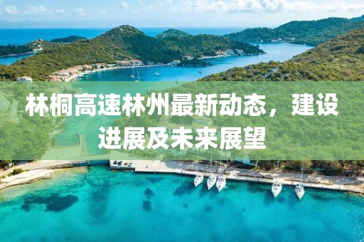 林桐高速林州最新动态，建设进展及未来展望