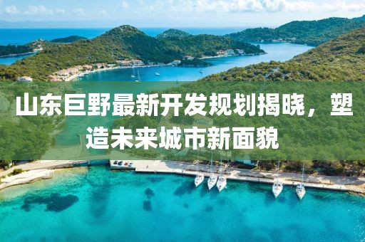 山东巨野最新开发规划揭晓，塑造未来城市新面貌